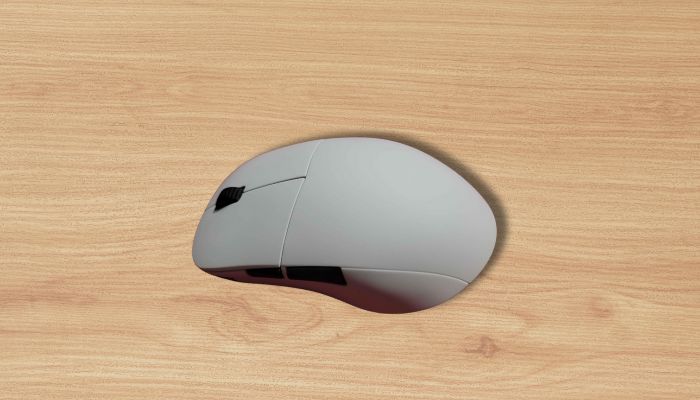 Gesamtansicht der Computermaus